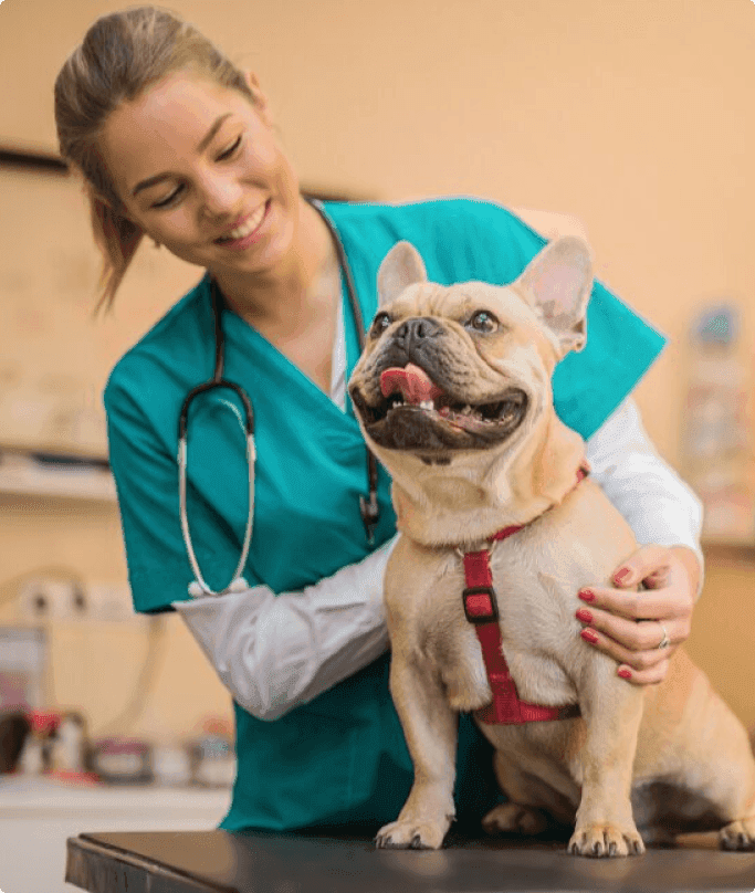 vet-with-dog.png